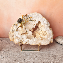 Raw Quartz Crystal with Insect Accent Home Decor