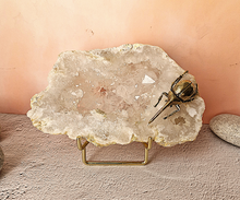 Raw Quartz Crystal with Insect Accent Home Decor