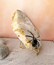 Raw Quartz Crystal with Insect Accent Home Decor