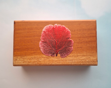 Red Fan Coral Mahogany Box
