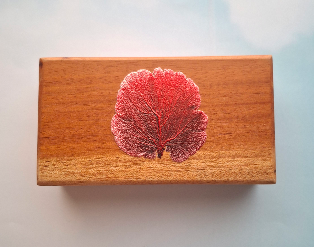 Red Fan Coral Mahogany Box