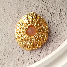 Sea Urchin Brooch Pin