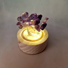 Money Tree Tea Light