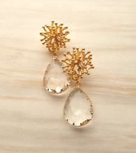 Branch Coral Brass Stud with Clear Glass Detachable Dangles