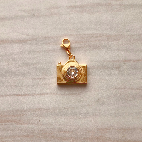 Camera Charm