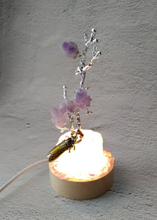 Amethyst & Rose Quartz Crystal Lamp