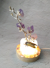 Amethyst & Rose Quartz Crystal Lamp