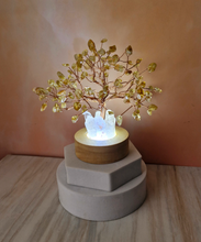 Money Tree Lamp