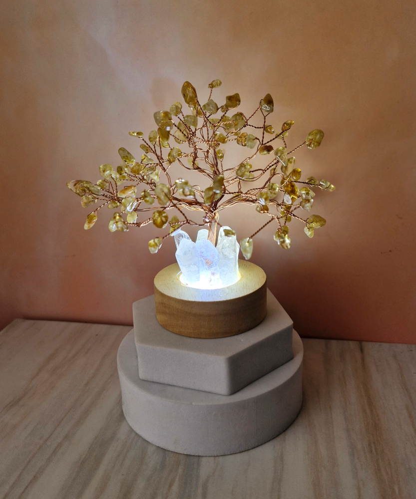 money tree lamp Money Tree Lamp – Alchemista