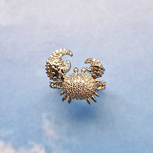 Silver Hermit Crab Ring
