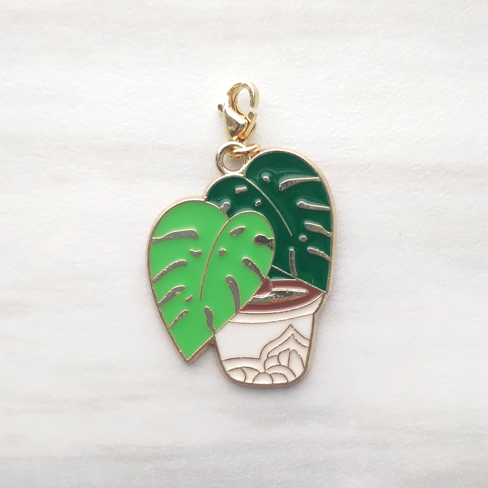 Potted Monstera Simple Charm