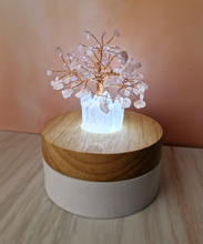 Money Tree Lamp