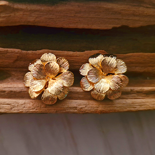 Wild Rose Brass Studs