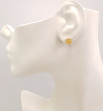 Carnelian & Kyanite Separates Earrings