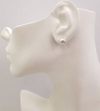 Clamshell Stud Earrings