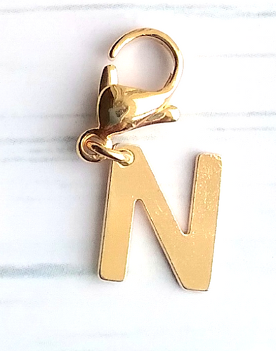 Letter N Charm